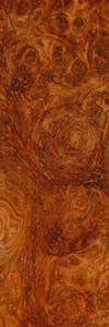 Afzelia Burl wood