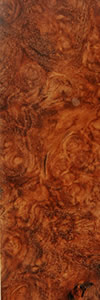 Amboyna Burl wood