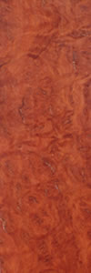 Coolibah Burl wood