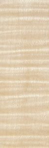 Hard Maple, Curly