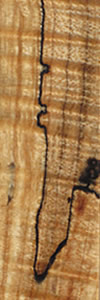 Curly_Spalted_Beech