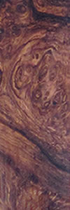 Honduran_Rosewood_Burl