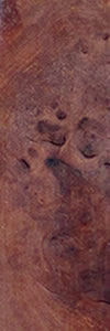 Mahogany_Burl