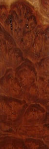 Red Morell Burl wood