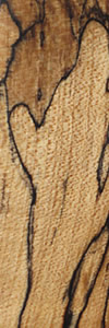 Beech Spalted Plainsawn