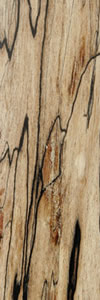 Spalted_Hard_Maple