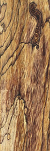 Spalted Tamarind wood