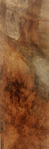 Hard_Maple_Burl.jpg