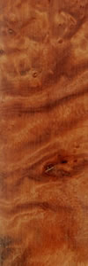 Tasmanian Rose Myrtle Burl wood
