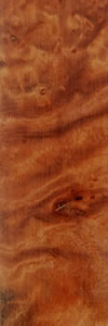 Tasmanian_Rose_Myrtle_Burl