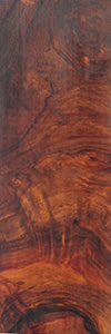 Unstabilized Katalox Burl